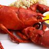 Maine Lobster Glut Making Crustaceans "Cheaper Than Deli Meats"